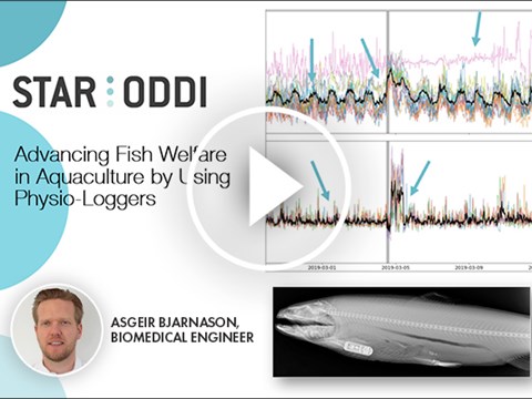 Fish physiology in aquaculture webinar now available online