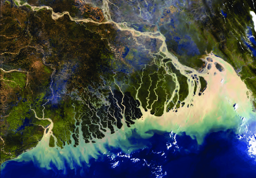 Coastal Ecosystem of Bangladesh Mapped – Salinity and Nutrients Major Drivers of Phytoplankton