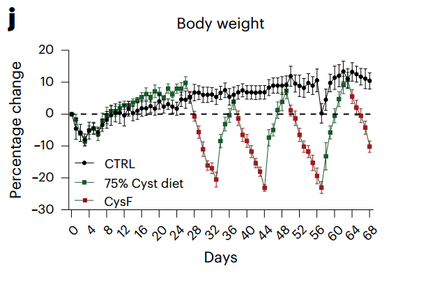 Body weight in mice