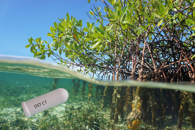Wider Low Salinity Range Now Offered in Our Popular Small CTD and CT Loggers