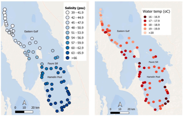 Map of stereo-BRUVs sampling locations with mean salinity (PSU) and mean water temperature (°C) per site