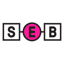Star-Oddi sponsoring bio-logging session at SEB