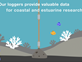 Star-Oddi Video: Want to collect environmental data?