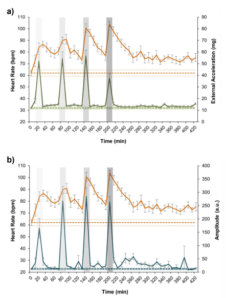 Fig. 5 from the paper showing heart rate (HR), acceleration (ACC), and amplitude of QRS wave (AMP) during the crowding stress challenge test.