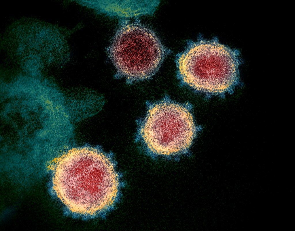 Star-Oddi Loggers in Virology Research