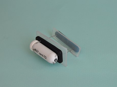 Plate holder kit for external tagging on marine animals