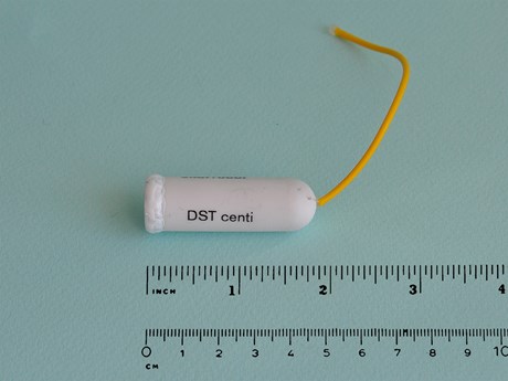 Spaghetti tag, for identification of a tagged fish