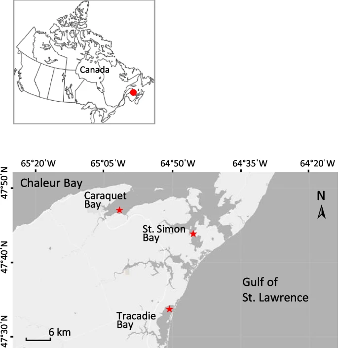 This figure shows the geographical location of the bays