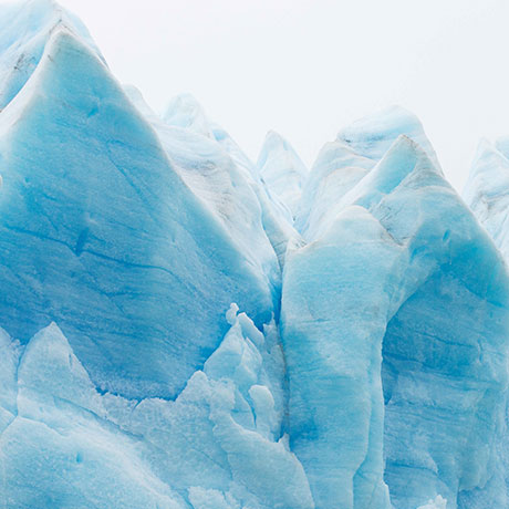 Examining Life Forms 800 Meters Under the Antarctic Glacier