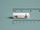 DST centi-HRT, heart rate and temperature logger