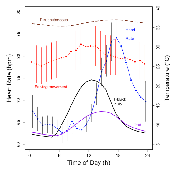 fig 5 from the article shows the 24-hour circadian rhythm in temperature and heart rate.