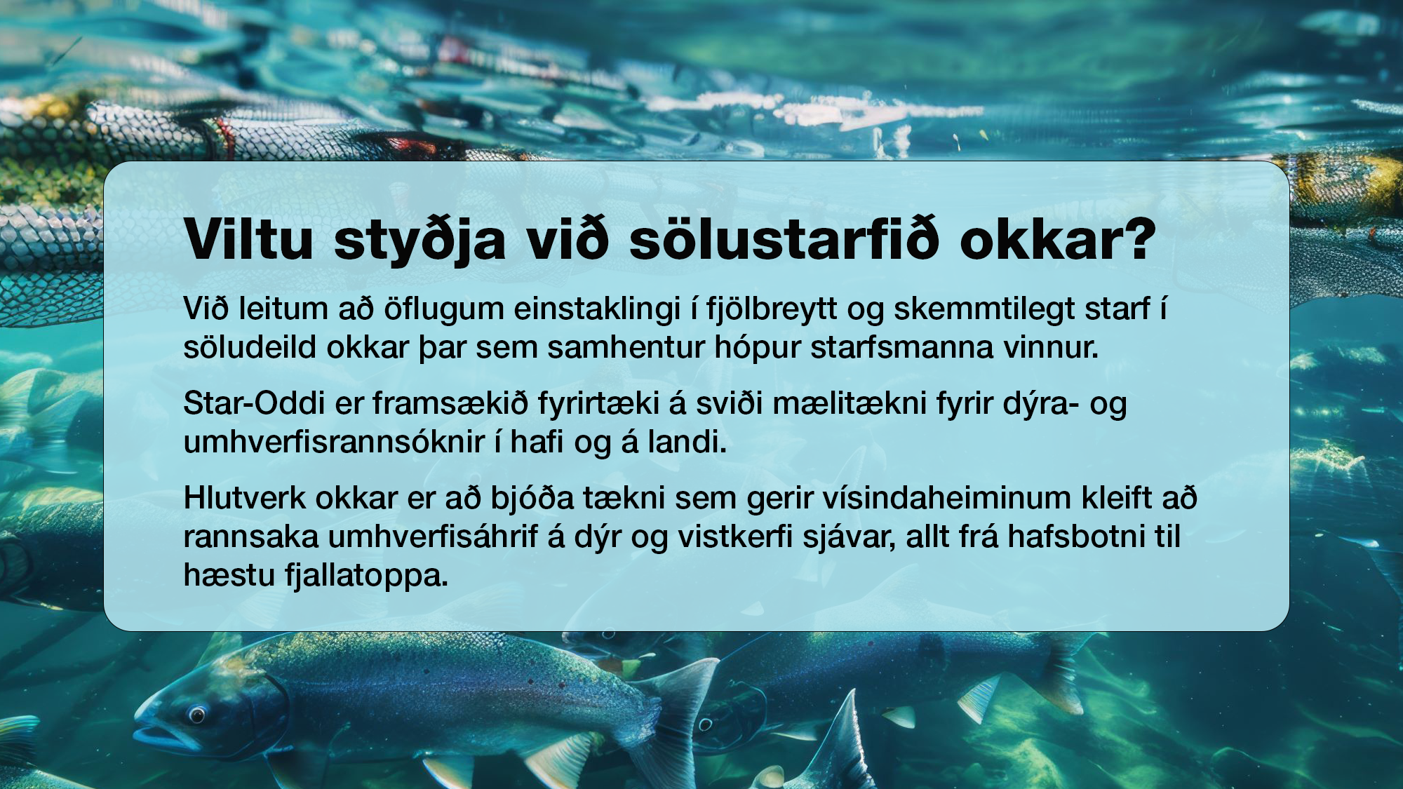 Viltu sty&#240;ja vi&#240; s&#246;lustarfi&#240; okkar?